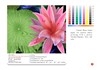 High Glossy Photo Paper for Dye ink